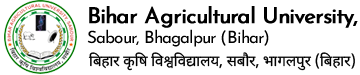 logo of BAU Sabour